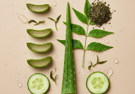 Gemini_Generated_Image_sedh5msedh5msedh